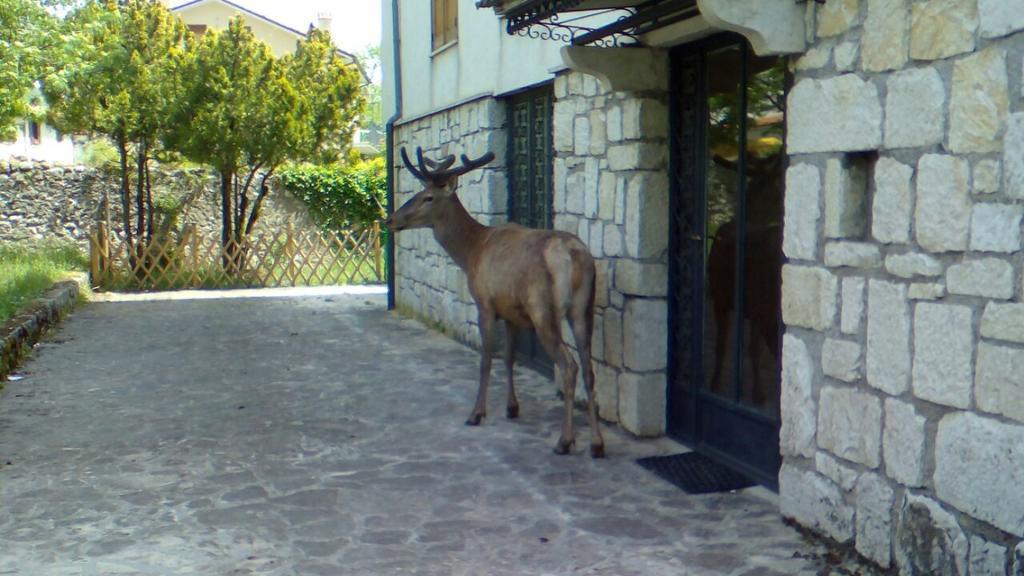Appartamenti De Sanctis Villetta Barrea Extérieur photo
